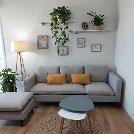 Dekori Flats شقة شكودر