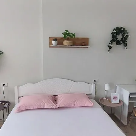 Dekori Flats Shkoder